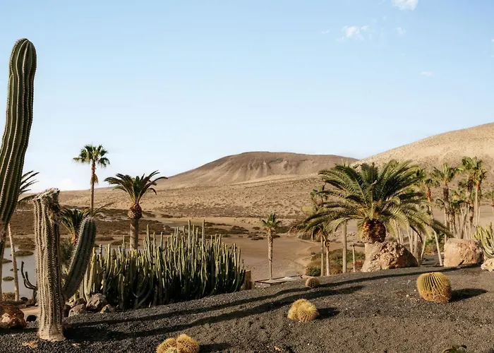 Hotel Paradisus By Melia Fuerteventura